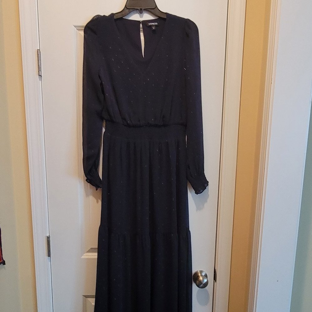 Navy Georgette Sparkle Maxi Dress By Express